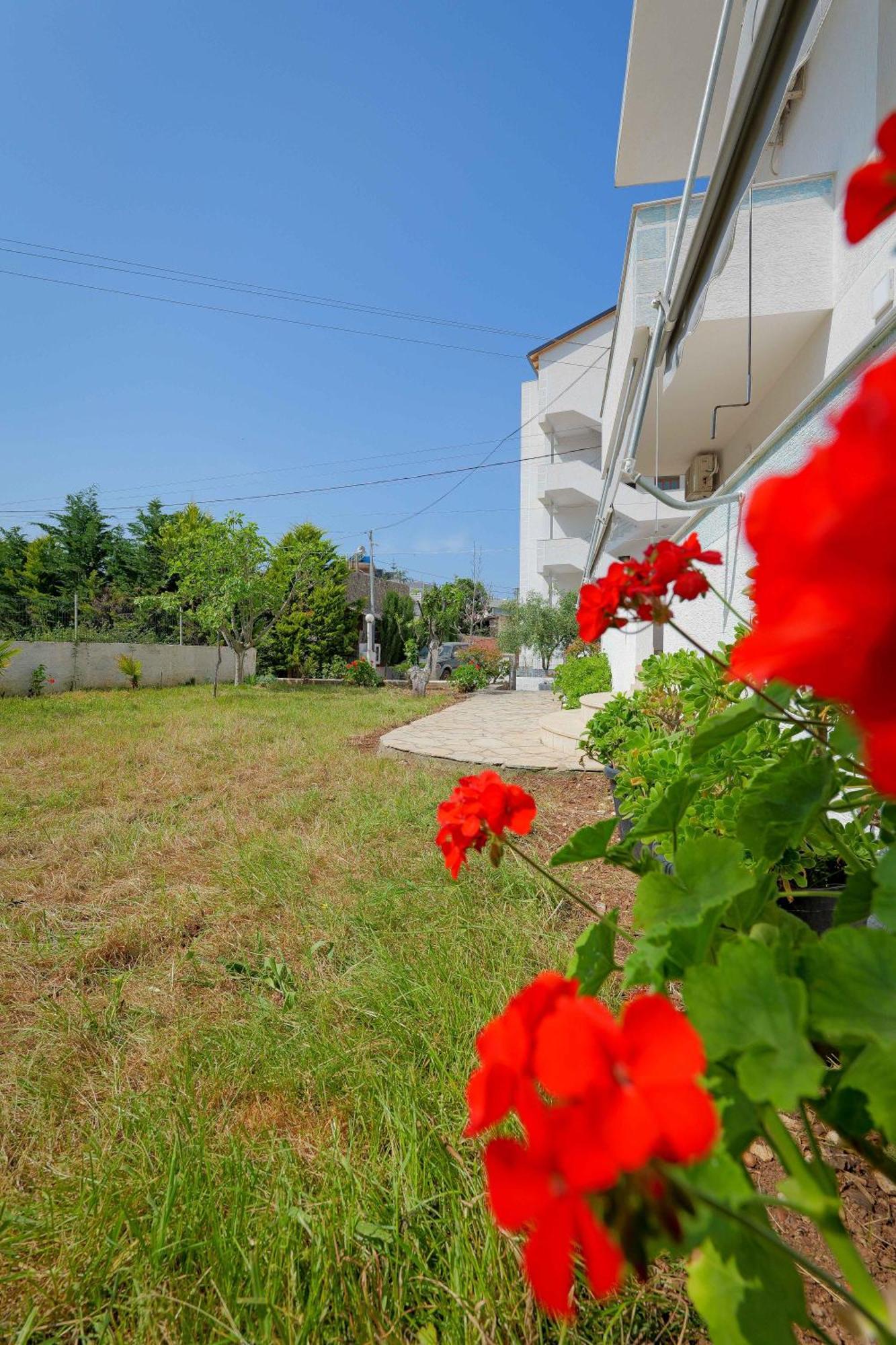 Vila Blue Moon Leilighet Ksamil